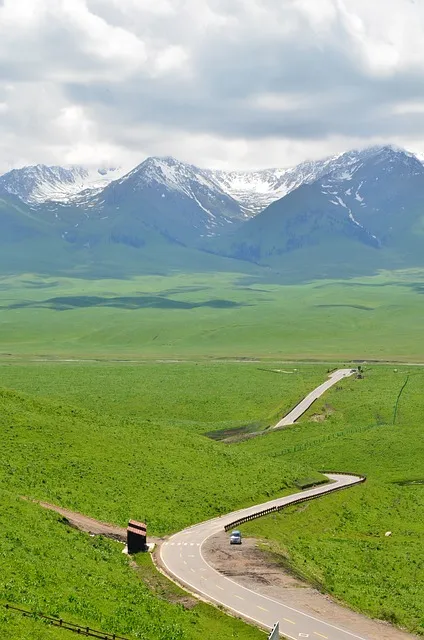 하추자도 배편 배시간표 예약 요금_9