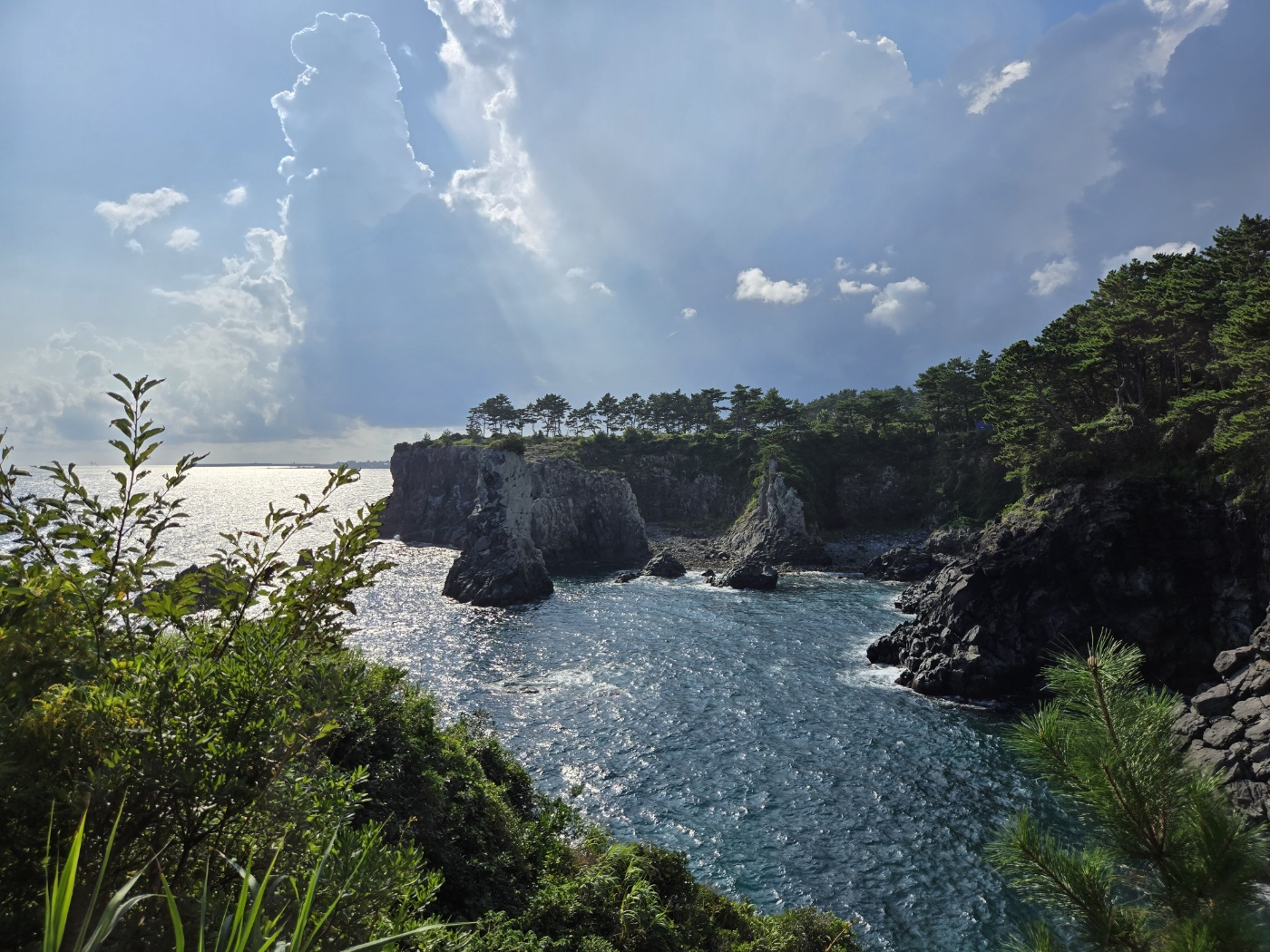 제주 외돌개 해안 절벽과 소나무 숲, 빛나는 바다 풍경