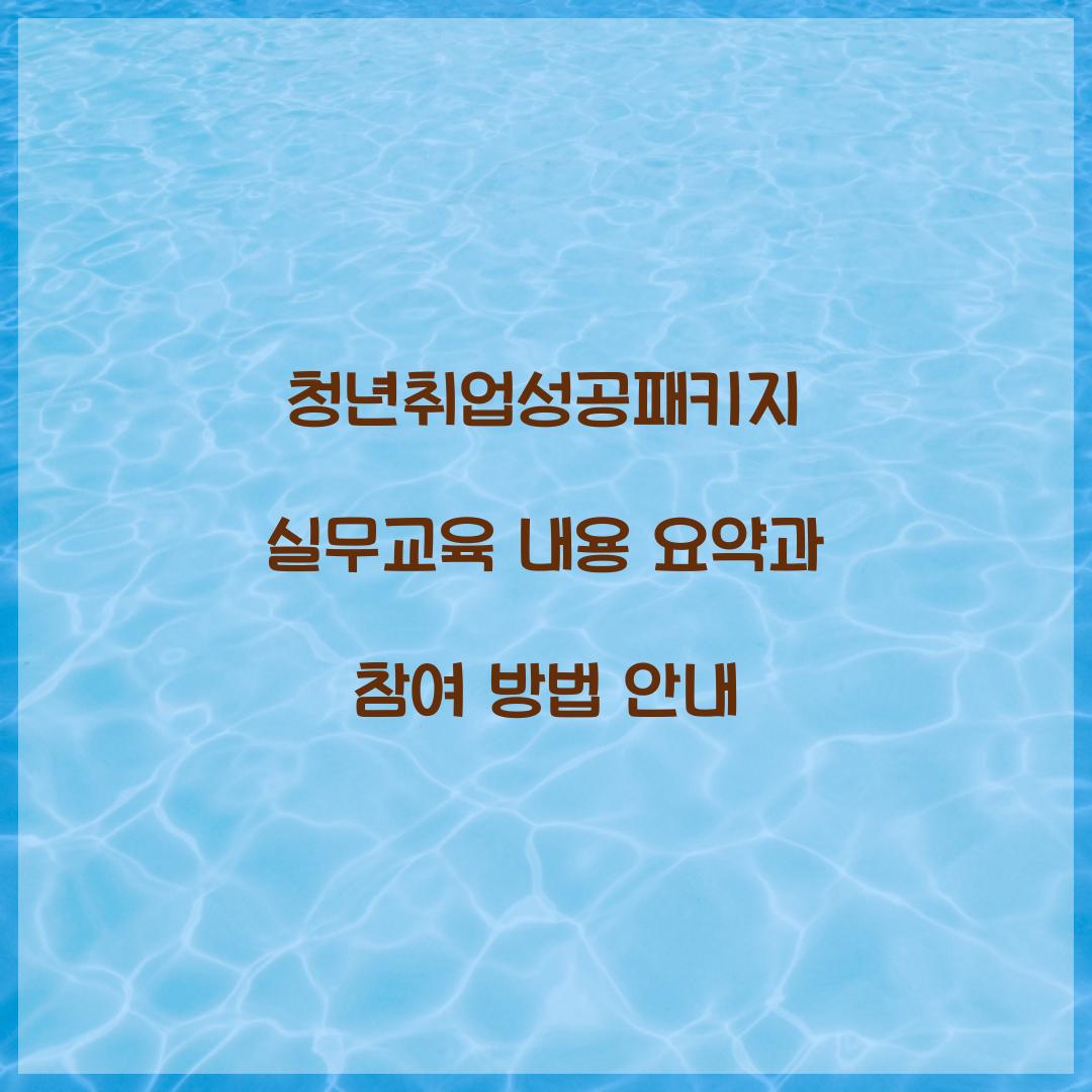 청년취업성공패키지 실무교육 내용 요약