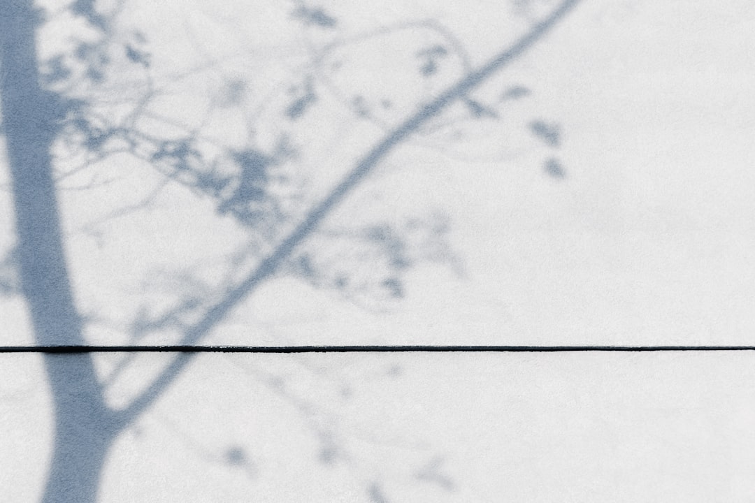 Margin
