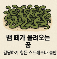뱀 떼 꿈풀이