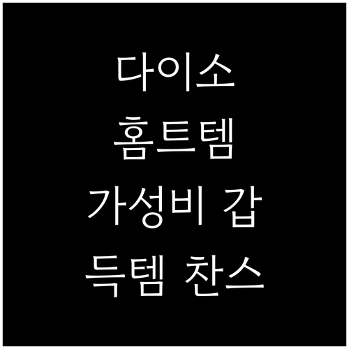 가성비 갑! 다이소 헬스용품으로 시작
