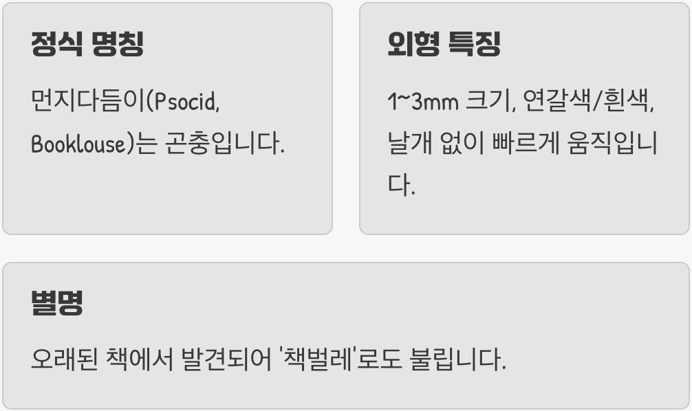 먼지벌레? 먼지다듬이! 진짜 이름 바로 알기