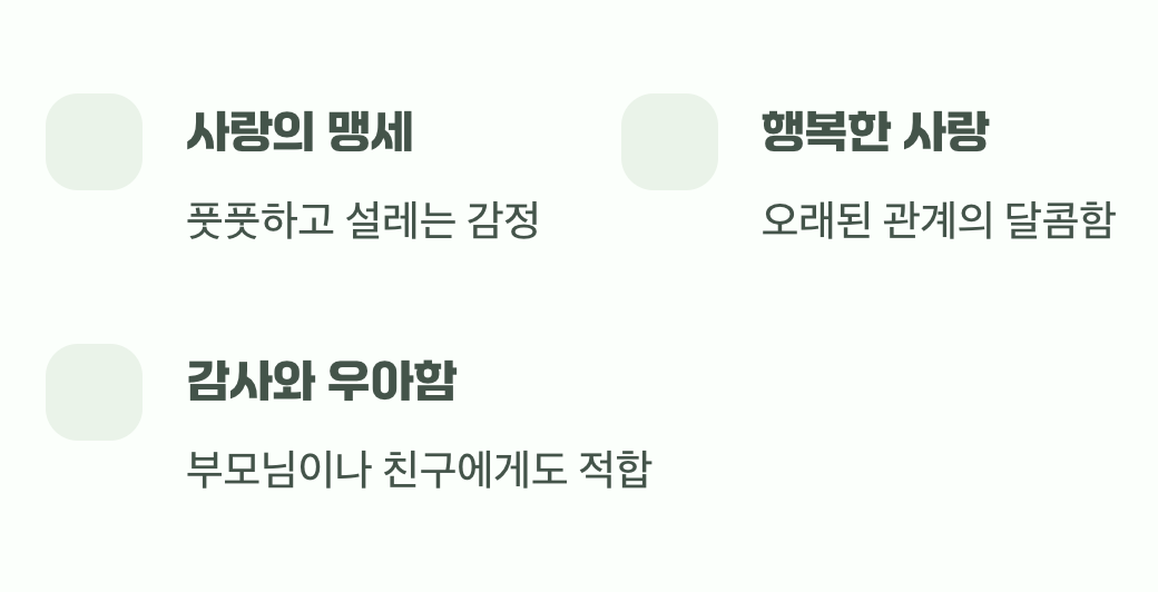 분홍 장미, 설레는 사랑의 시작
