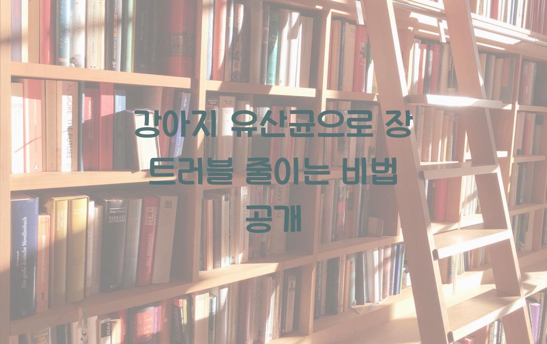 강아지 유산균, 장 트러블 줄이는 비법