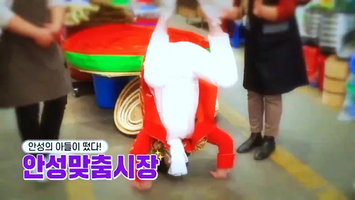 경기도 안성 안성맞춤시장 강아지 옷 마늘 고추장 전화 택배 주문 인터넷 쇼핑 파는 곳