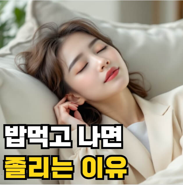 밥먹고나면 졸리는 이유