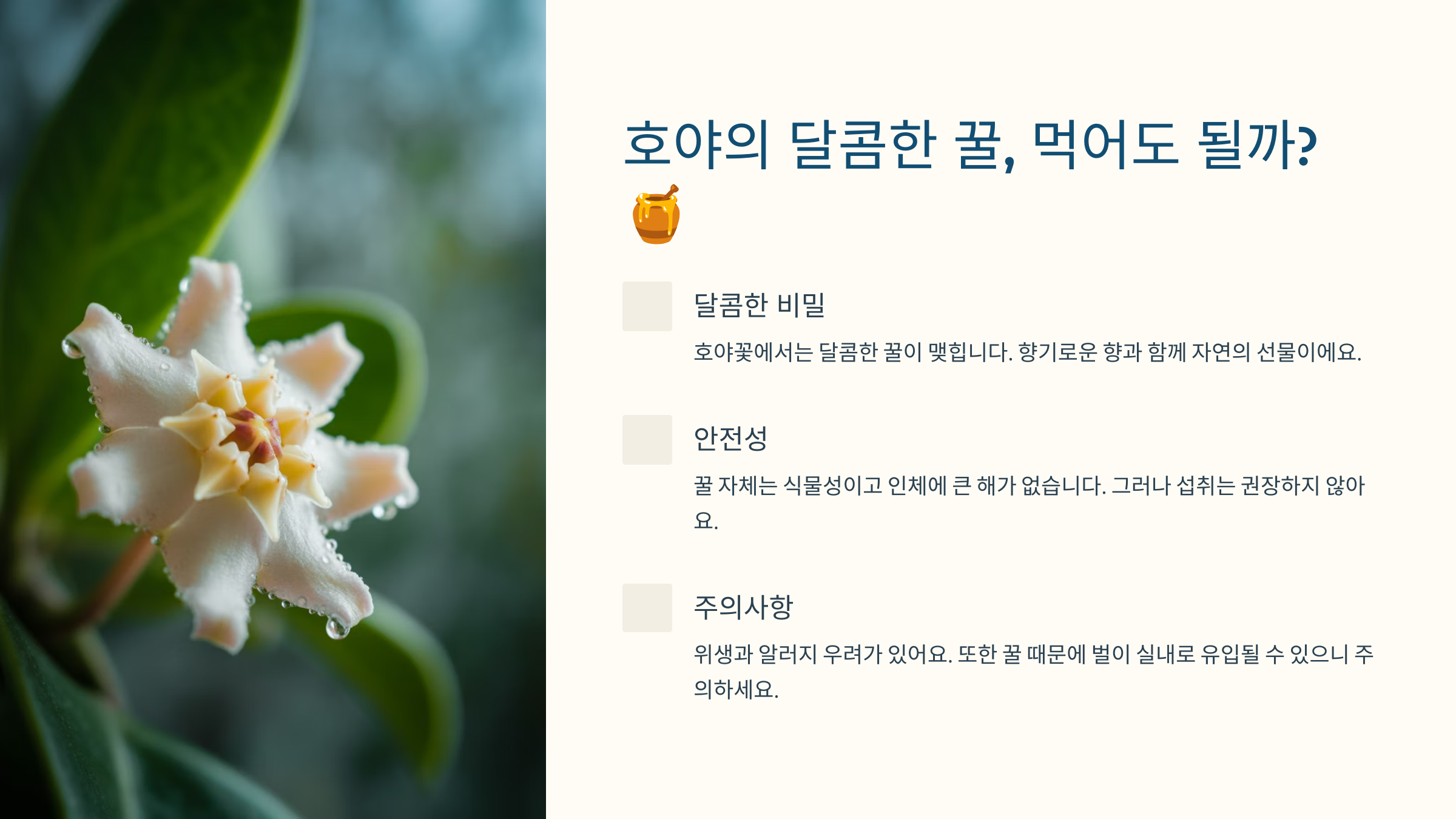 호야의 달콤한 꿀, 먹어도 될까? 🍯