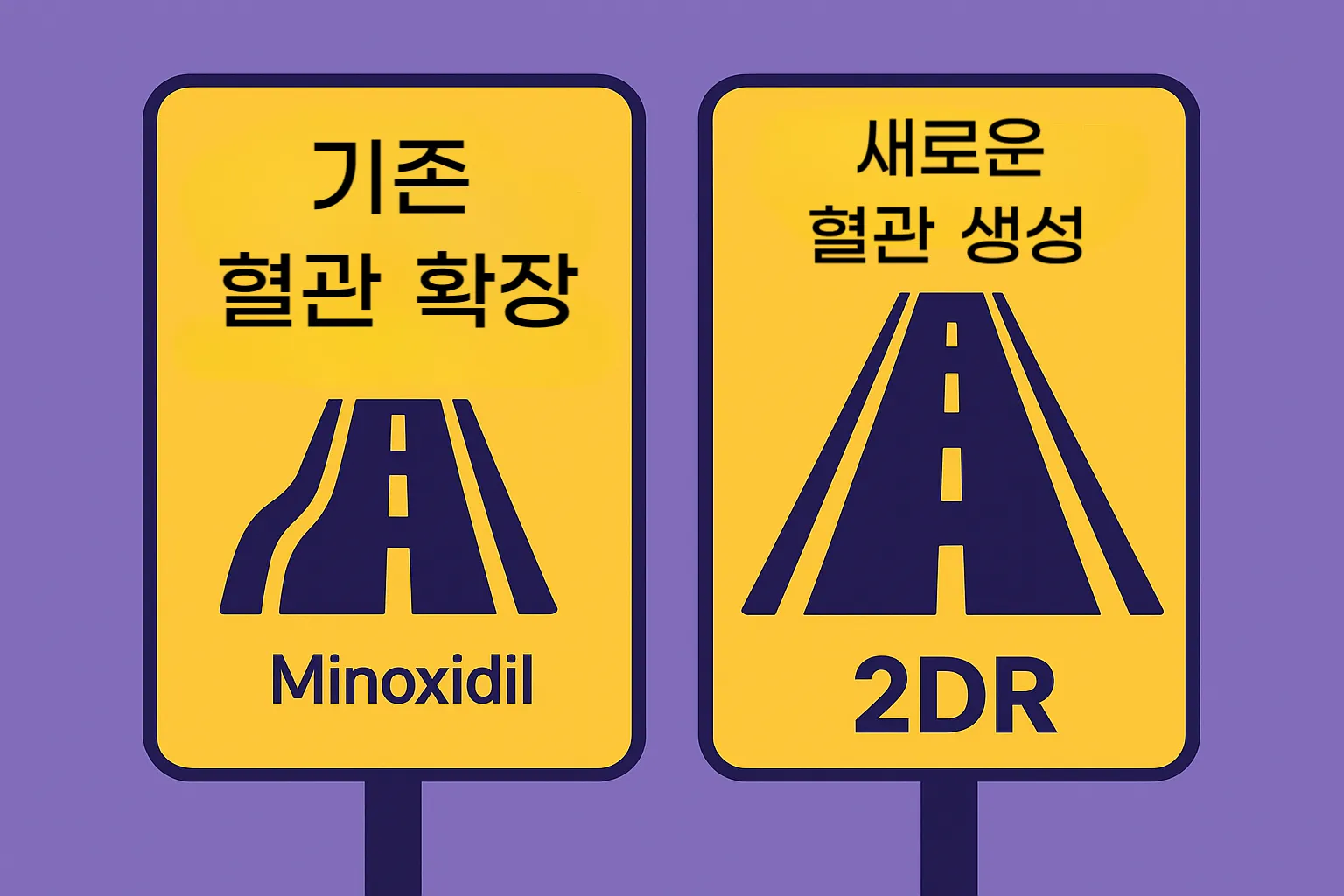 "기존 혈관을 확장하는 미녹시딜과 새로운 혈관을 생성하는 2DR의 작동 원리 차이를 비교하는 인포그래픽"