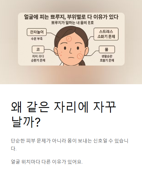 왜 같은 자리에 자꾸 날까?