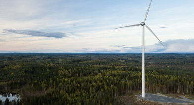자연과 함께하는 힐링 여행: 친환경 여행 가이드