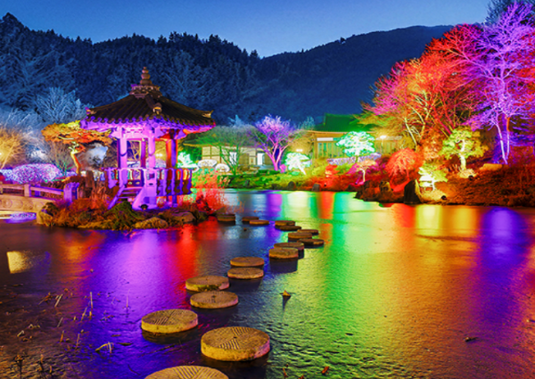 아침고요수목원 야간개장 별빛축제