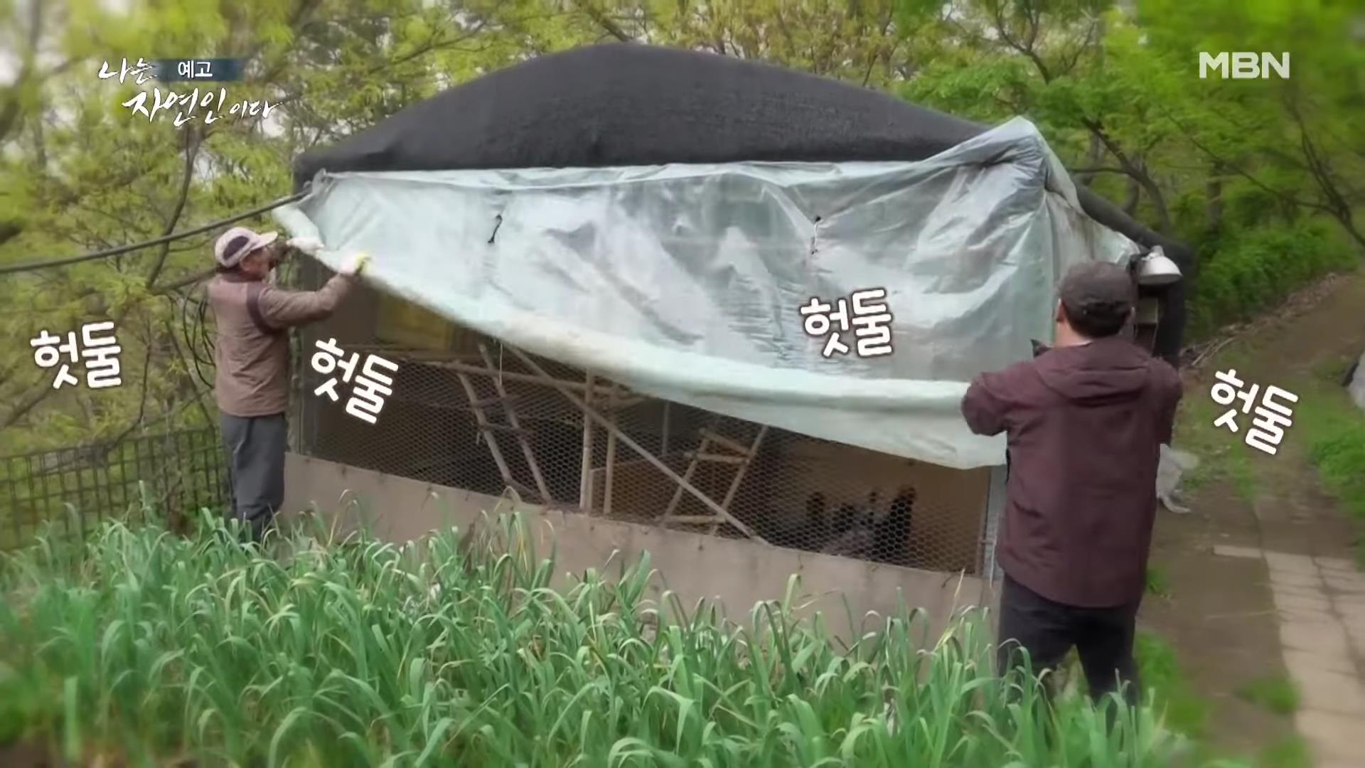 나는 자연인이다 42년 공무원 출신 산야초 대통밥 봄 나물 전 행복산 사랑동사무소 자연인 강이규 소개 및 이승윤 출연 552회 다시보기