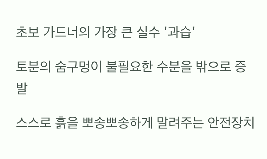 과습 걱정 끝! 스스로 물 조절하는 '배수성'