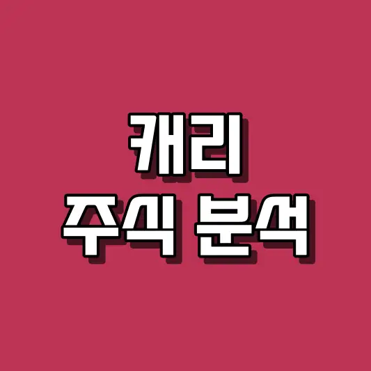 캐리 주식 분석