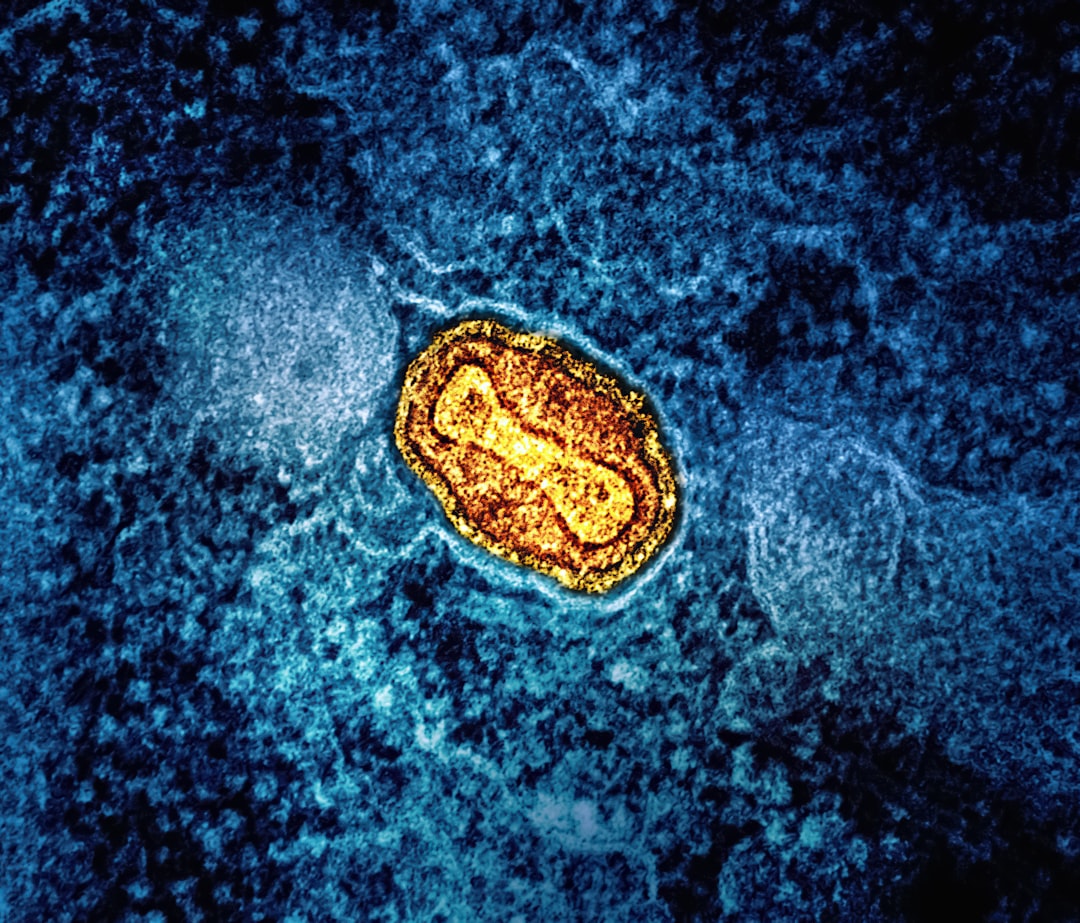 Mitochondria