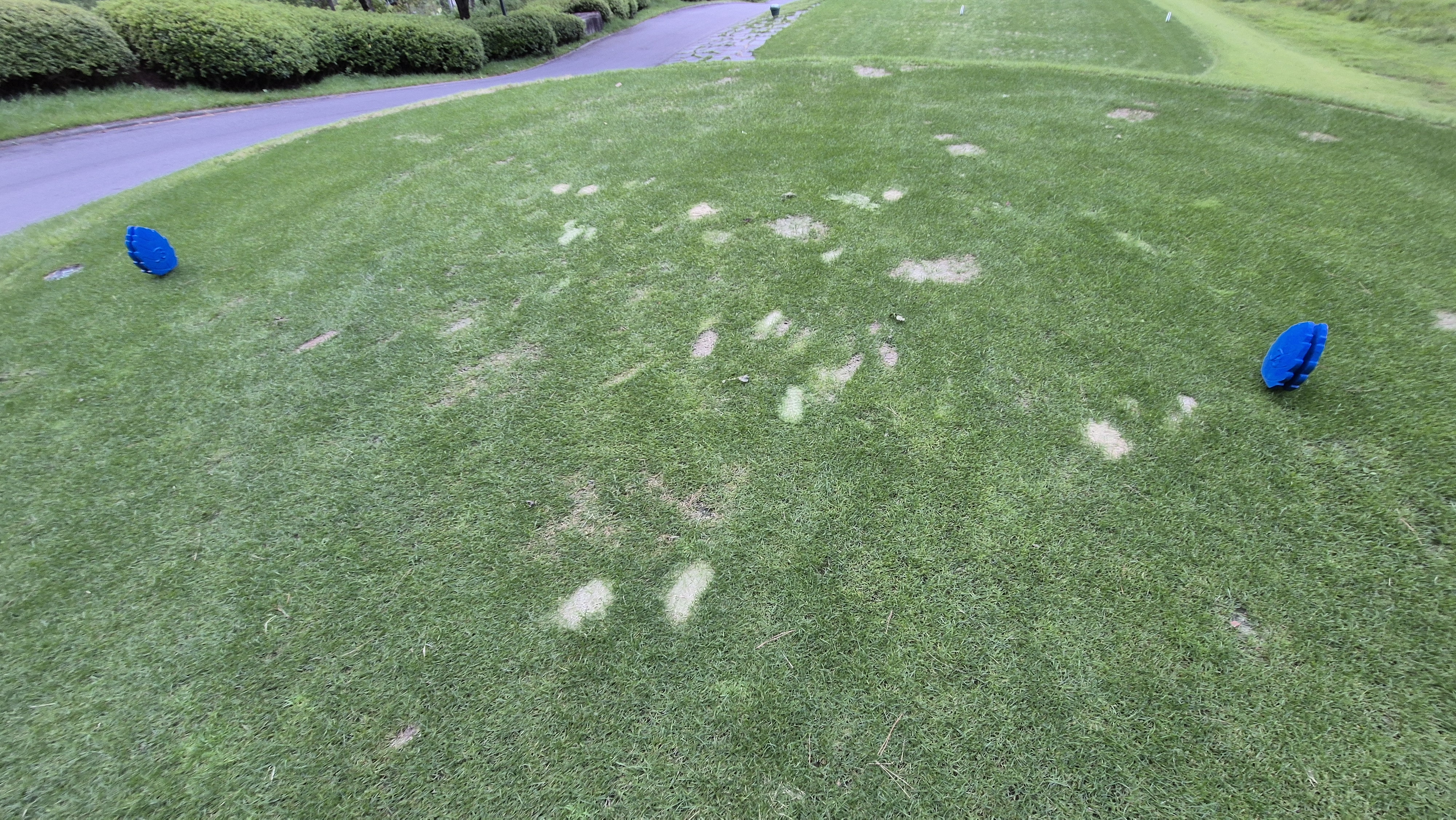 오크힐스cc 티잉구역 상태