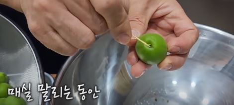 매실청 담그는법