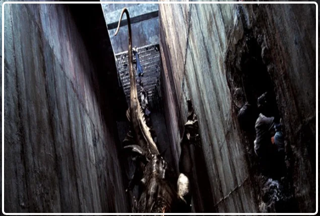 괴물의 행동양식 분석해보면 생존본능