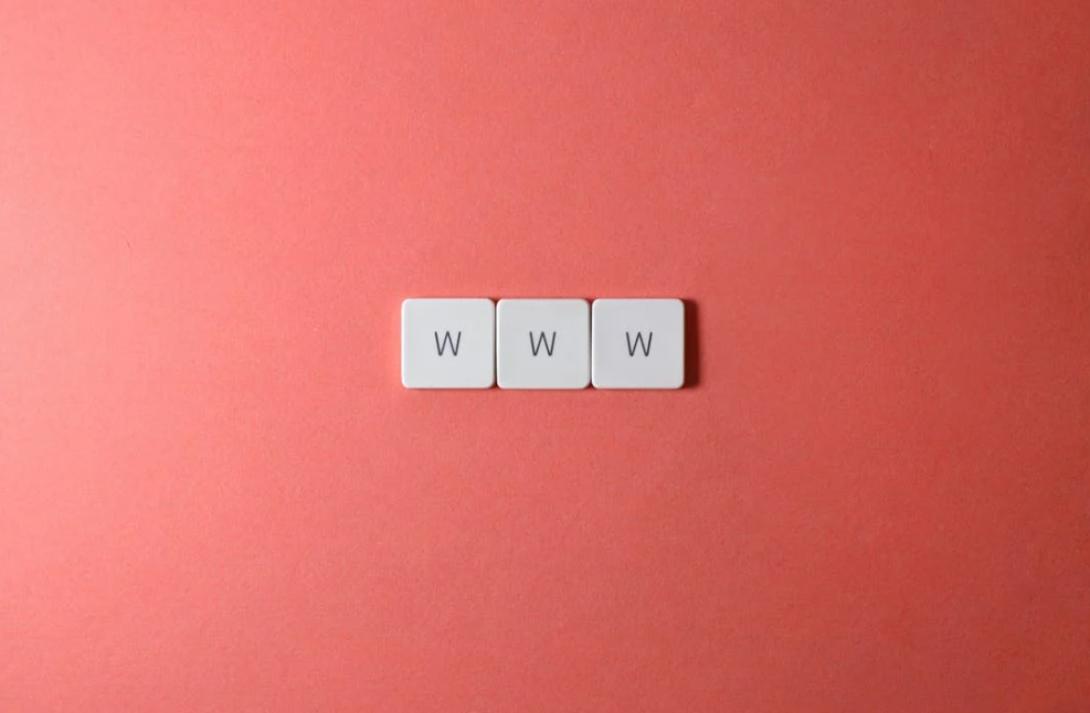 도메인 관련 사진