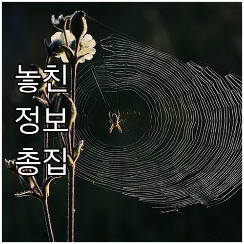 2025 디지털 성범죄 피해 영상 삭..