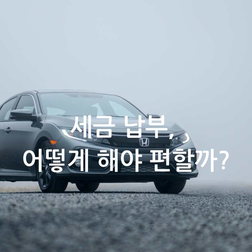 2025 상반기 자동차세 납부 방법