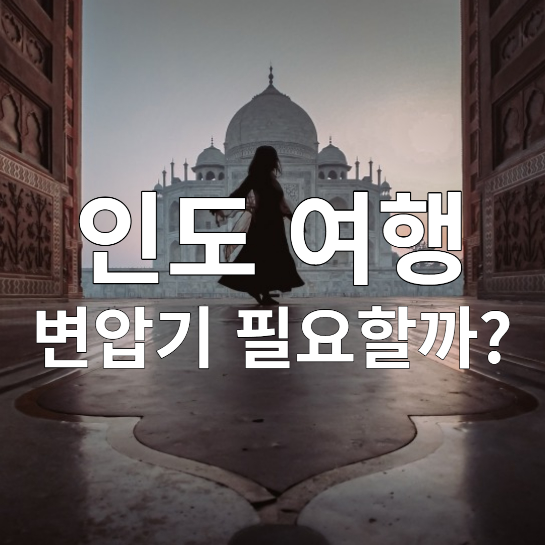 인도 여행 110V 220V