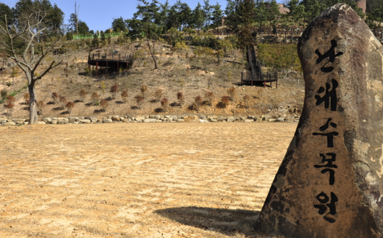 장흥 우드랜드 편백숲