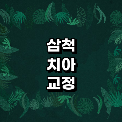 삼척시 교정 치과