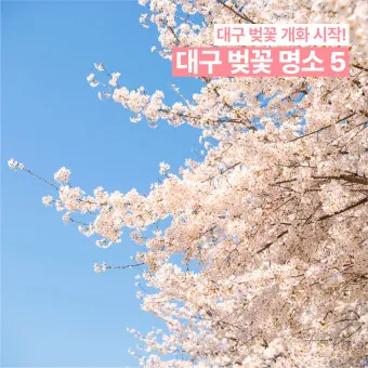 대구 가볼만한곳 베스트10 근대골목 수성못 노포맛집 여유 코스_10