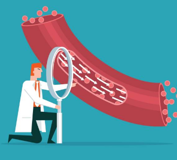 고지혈증 증상, 고지혈증에 좋은 음식, 고지혈증 수치 총정리 (2024ver)