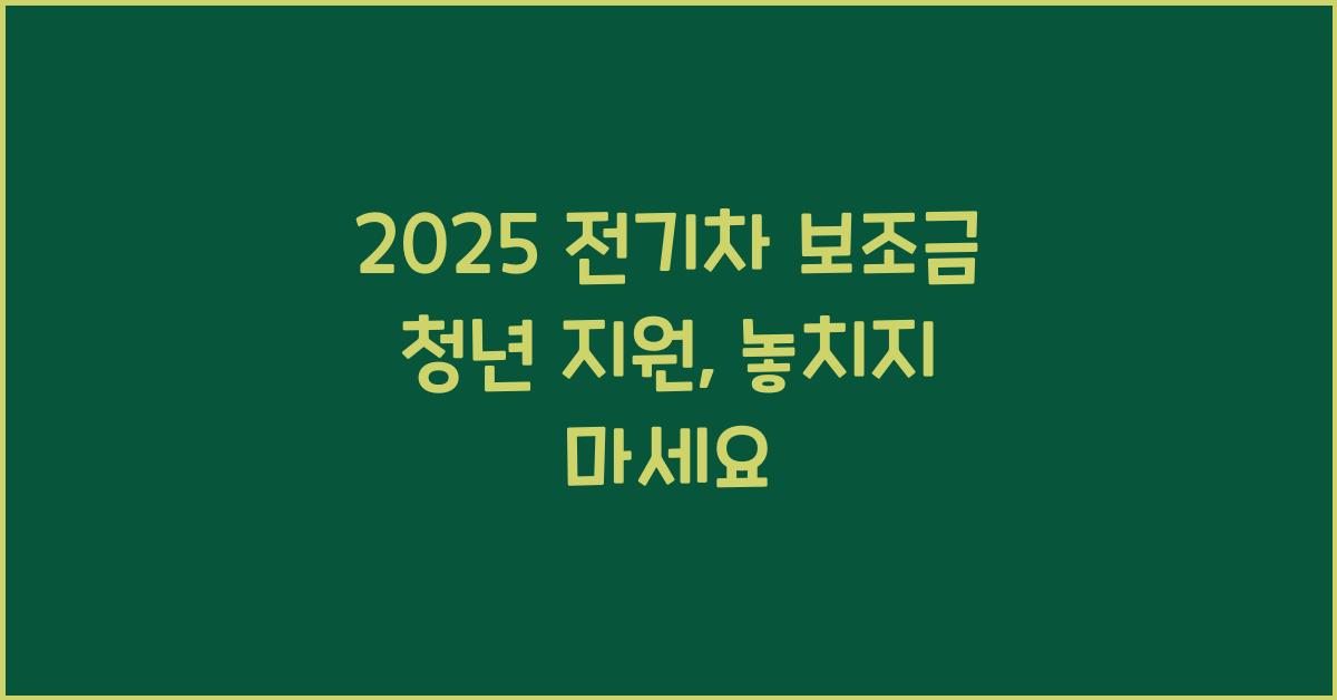 2025 전기차 보조금 청년