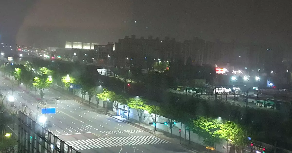 밤거리의 가로수에 비치는 조명