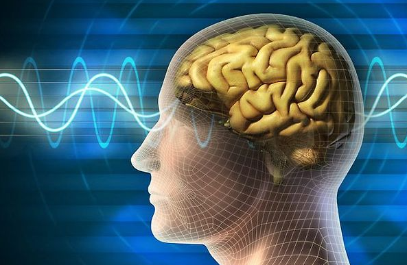 뇌졸중 뇌혈관질환 벼락두통 편두통 고혈압 뇌졸중예방 뇌건강 뇌동맥류 지주막하출혈 뇌건강식품