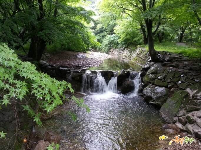 여름 무더위 피서지 - 내장산 계곡(전라도 #2)