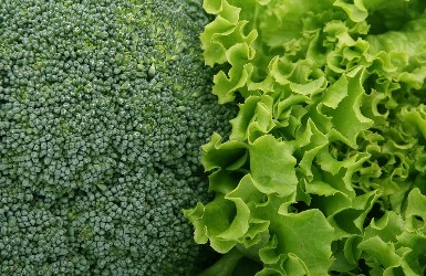 지방간에 좋은 음식7