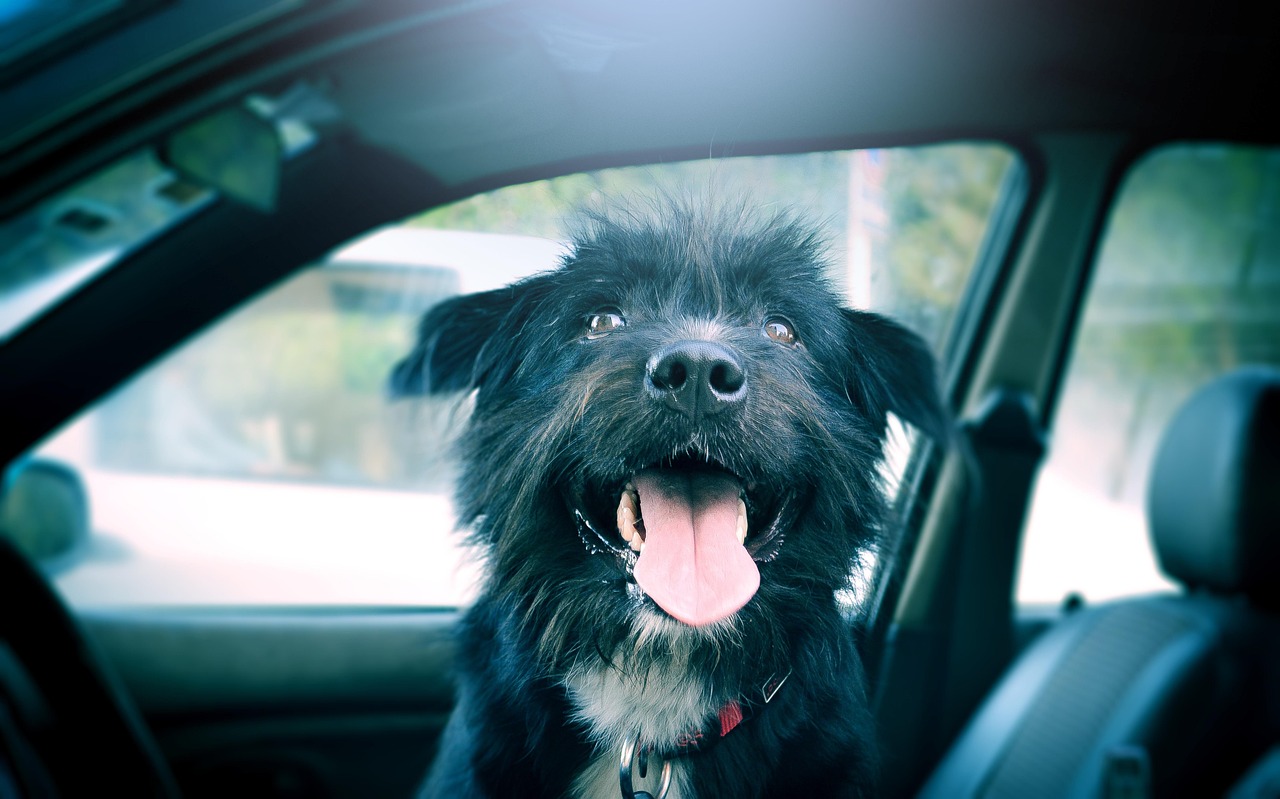 전업주부 소액대출 best4