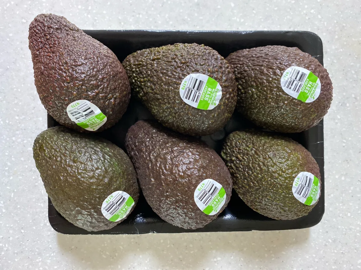 아보카도-여섯개
