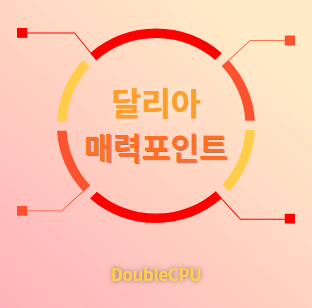 달리아 매력포인트