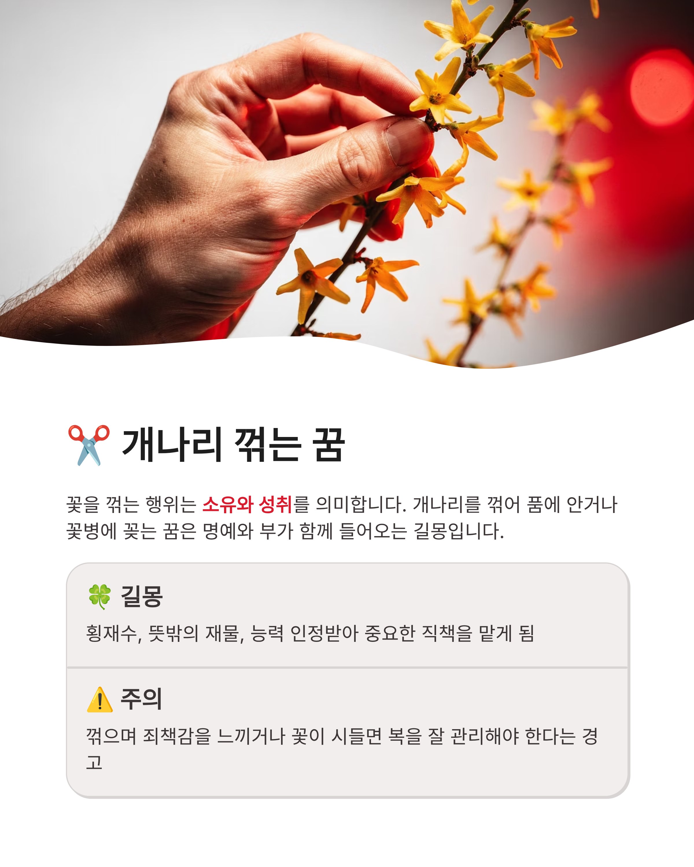 개나리꽃 꿈 해몽, 개나리 피는 꿈, 개나리 태몽 혹은 선물 받는 꿈 해몽