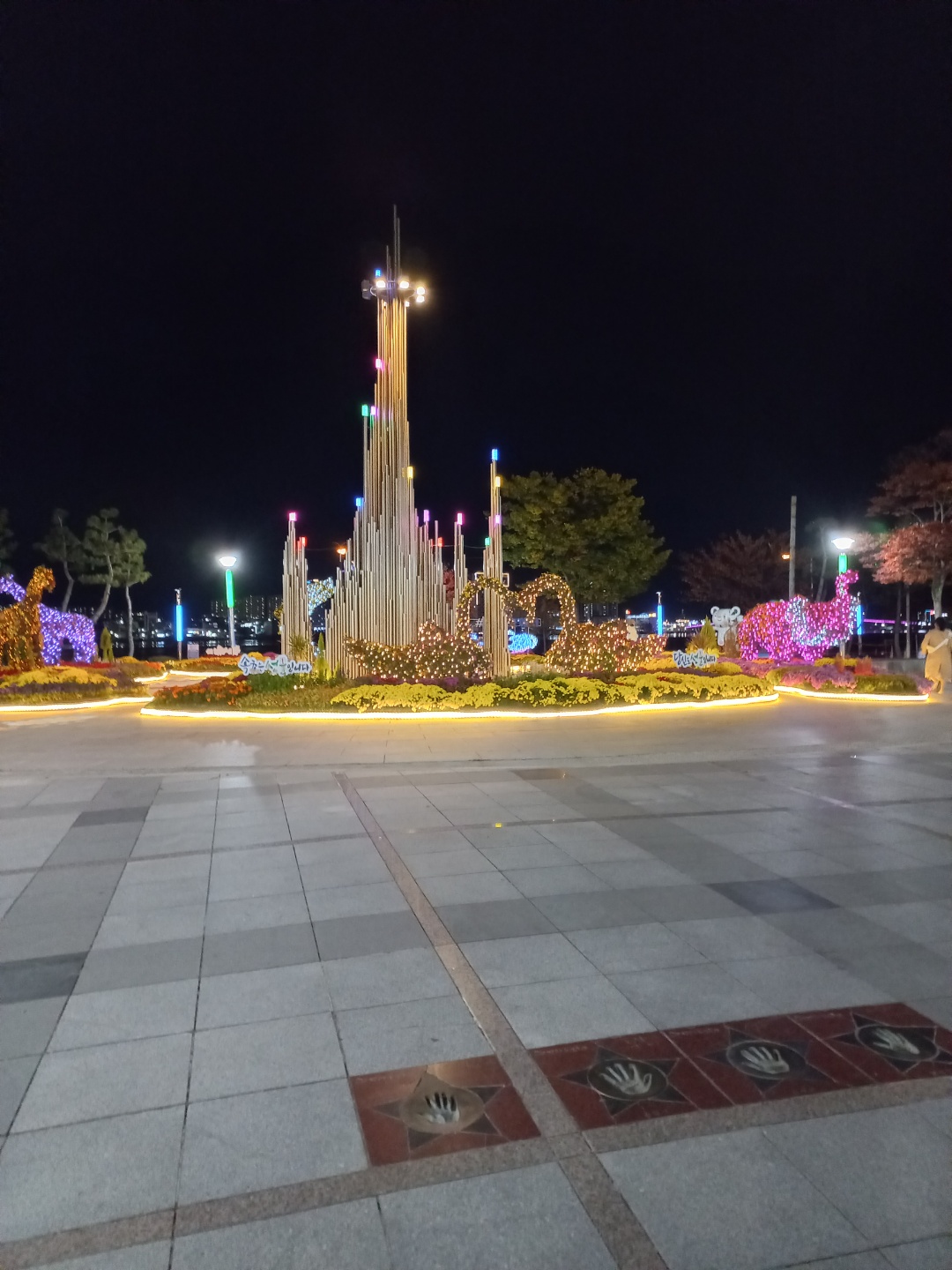 청초호야경