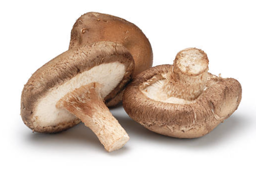 비타민D 많은 음식