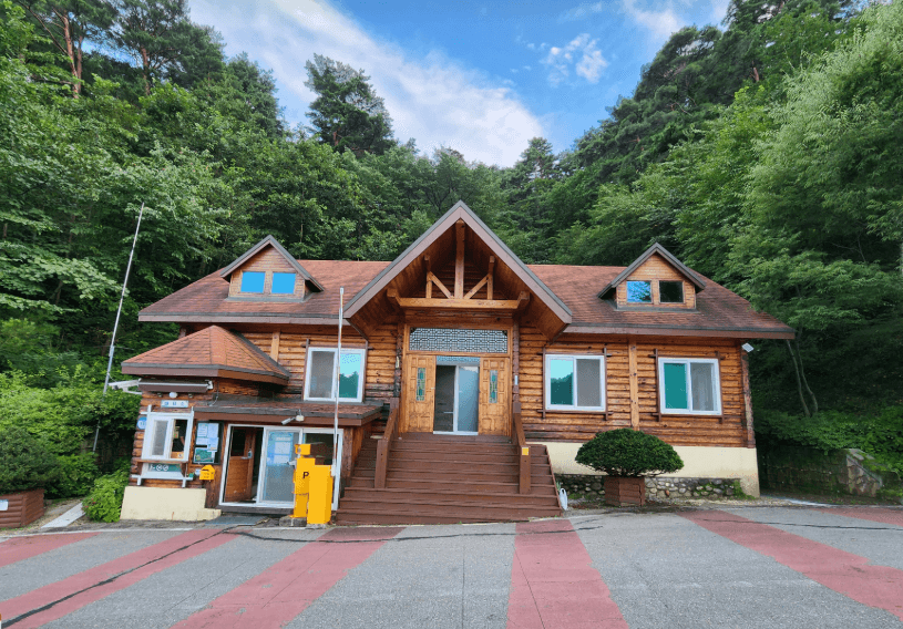  대관령-자연휴양림