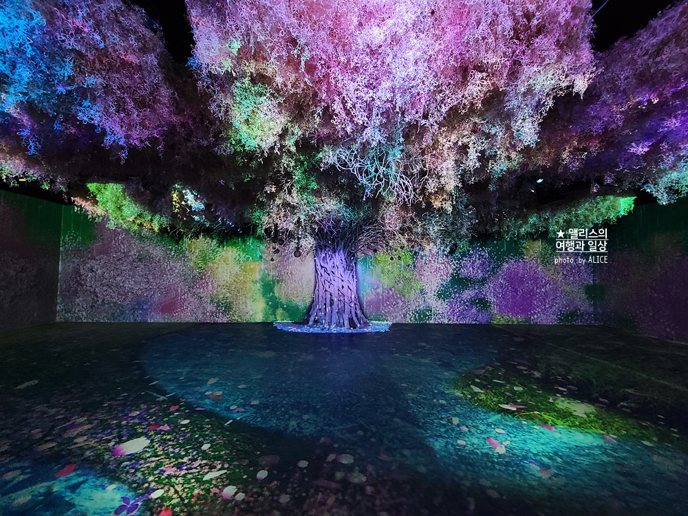 플라워바이네이키드 홍대 놀거리 입장료 23% 할인예매방법, 즐기는 꿀팁 네가지