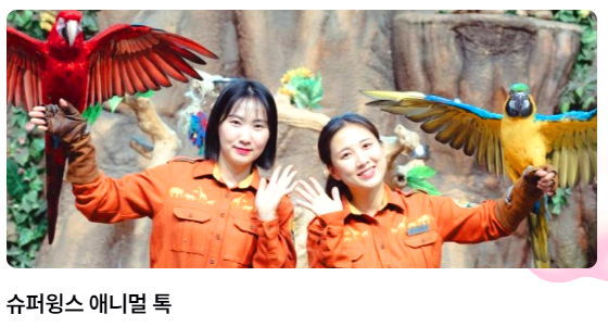 에버랜드