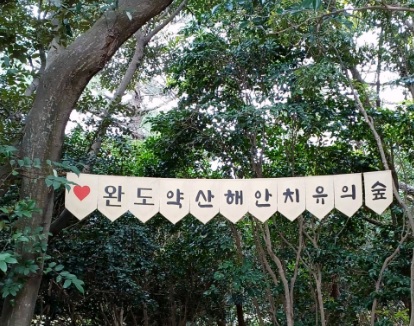 6시 내고향 완도 백반 맛집 만선식당