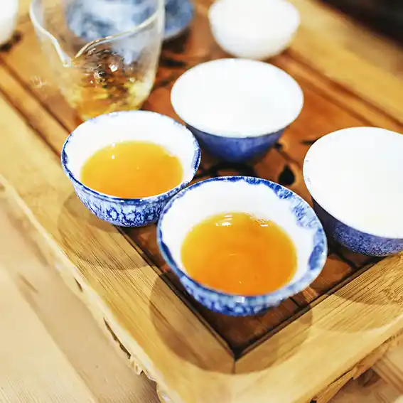 카테킨의 지방 연소