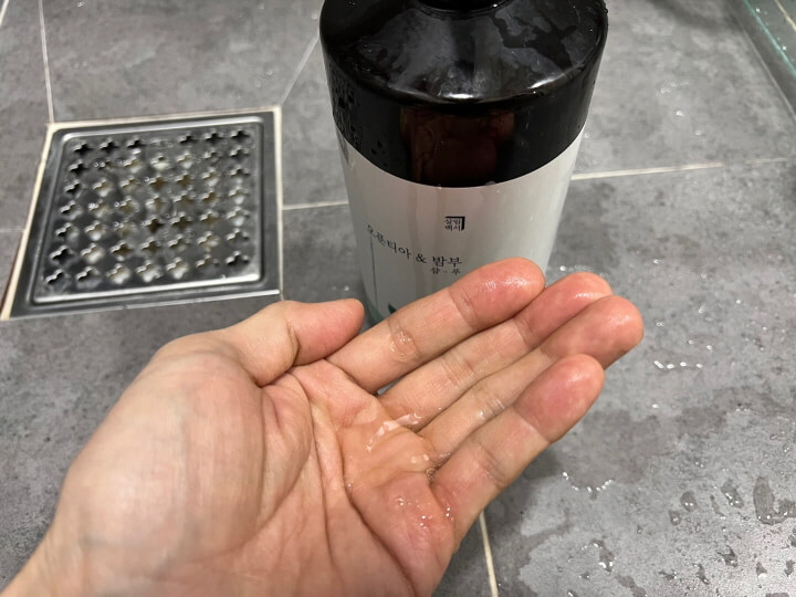 샴푸 제형