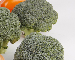 브로콜리