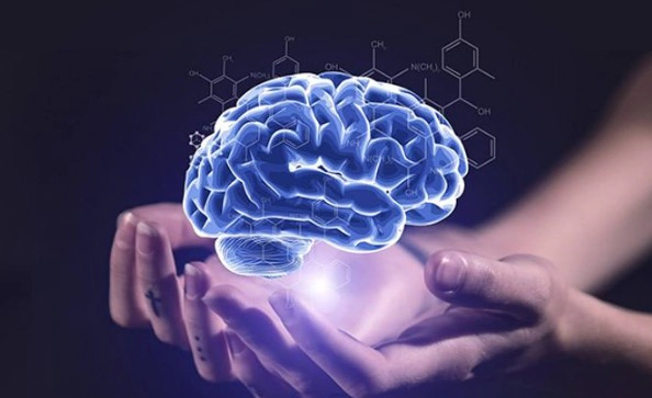 기억력에 관한 자주 묻는 질문 FAQ